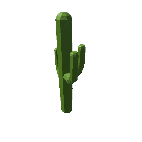 cactus_02