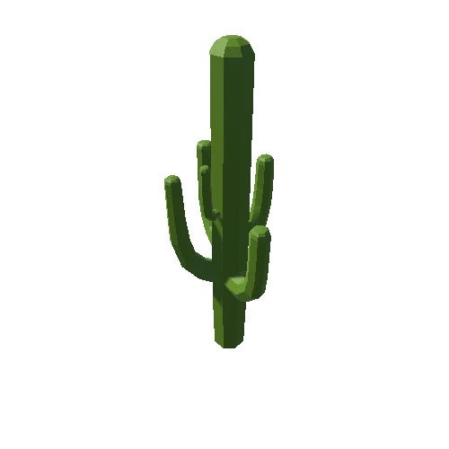 cactus_03