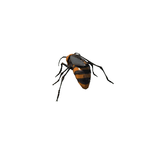 Giant_hornet_style1