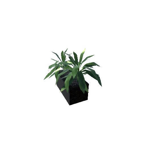 Plant2