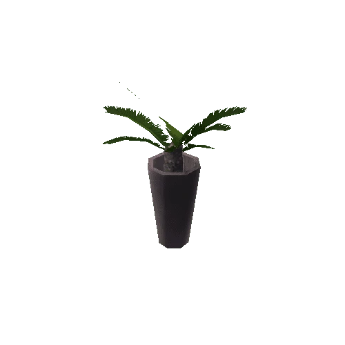 Plant3