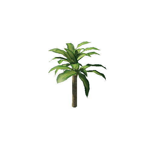 palm_Dracaena_small