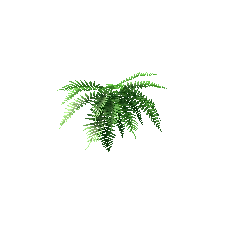 plant_HangingFern_Short