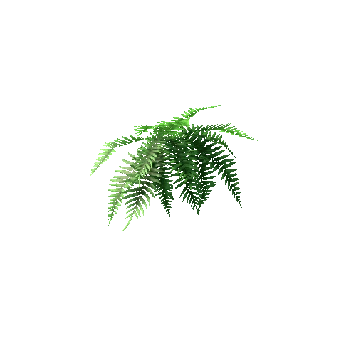 plant_HangingFern_Small