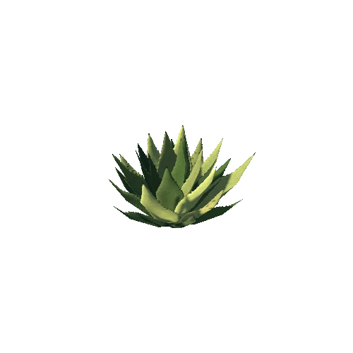 MurphysAgave05