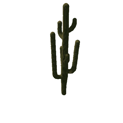 Saguaro01