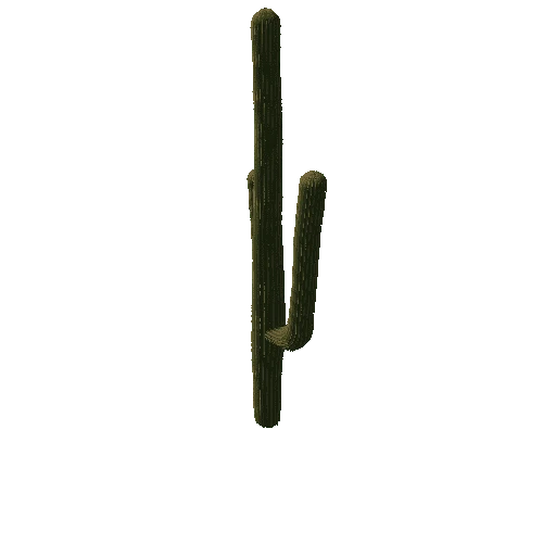 Saguaro04