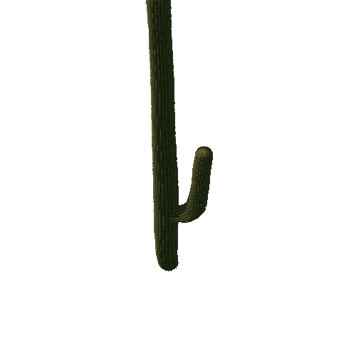 Saguaro05
