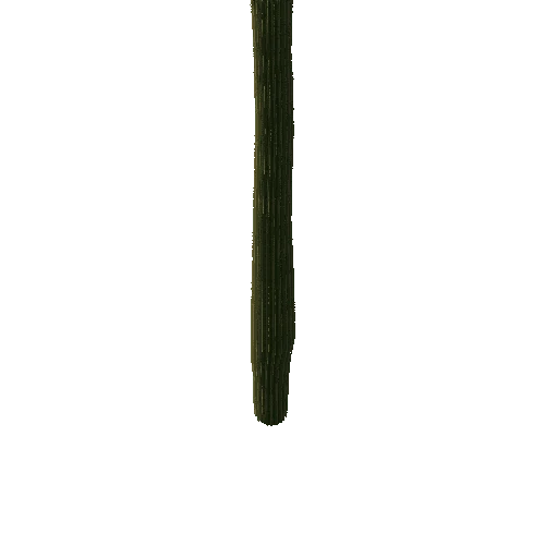 SaguaroFl06