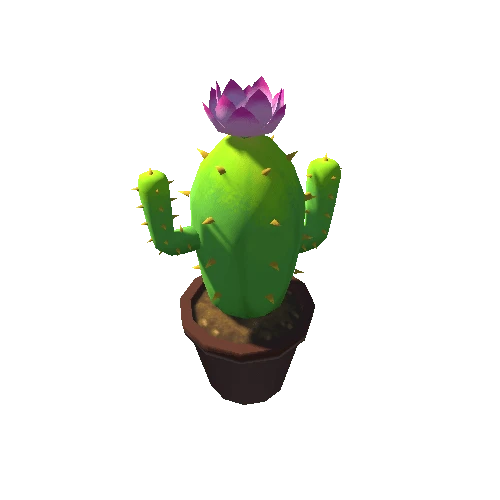 Cactus