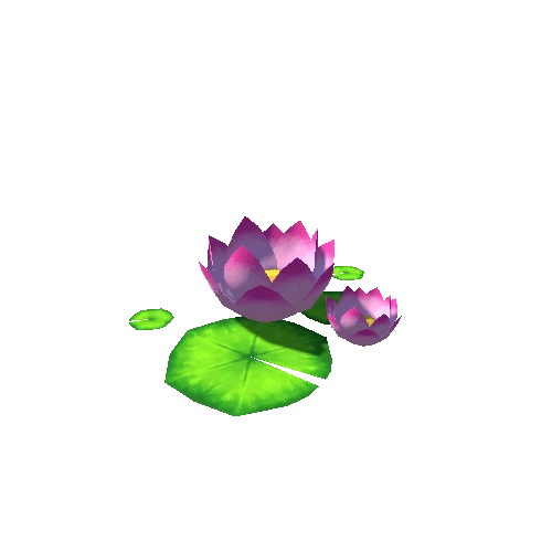 Lotus