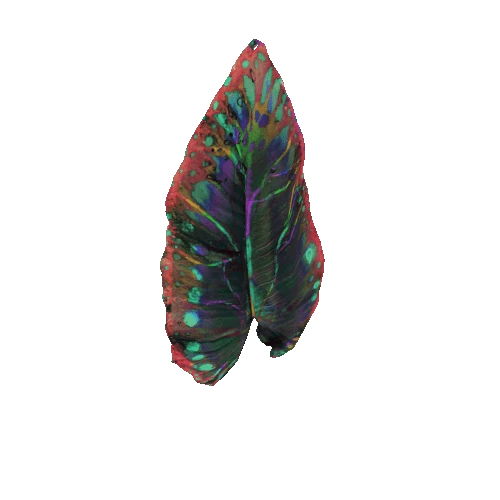 Big_Vibrant_Leaf