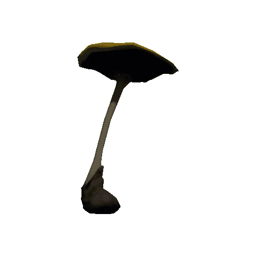 Mushroom_03