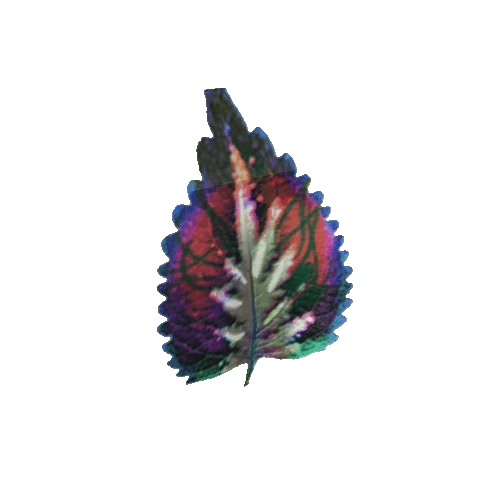 Small_Leaf