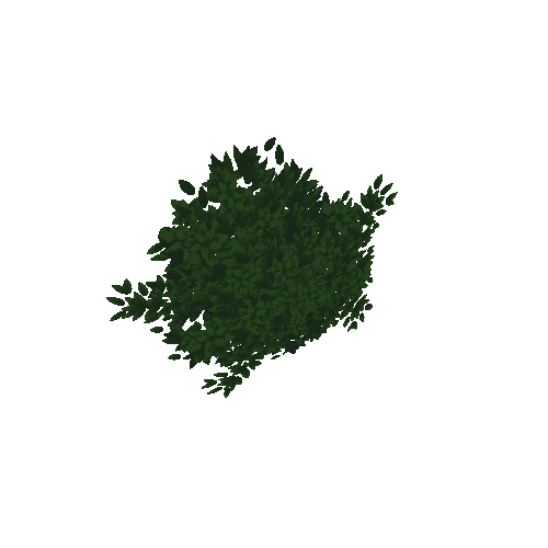 bush_02