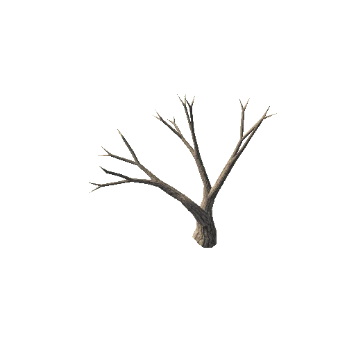 DeadTreeA