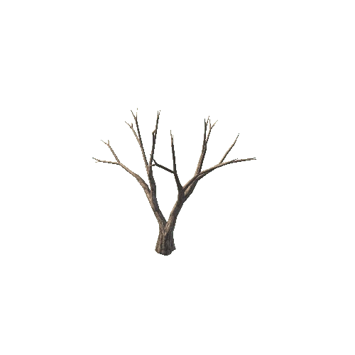 DeadTreeD