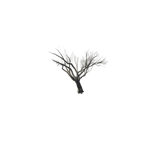 Tree_1