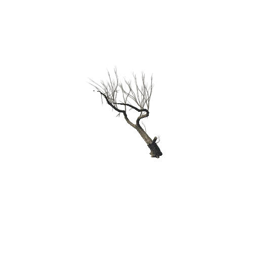 Tree_3