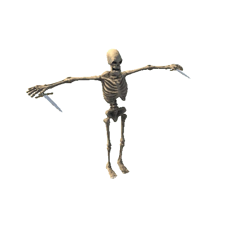 prefab_skeleton_double_daggers