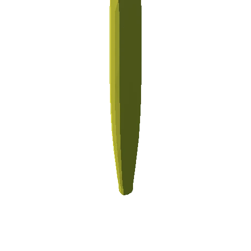 cactus_1