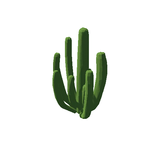 cactus_2