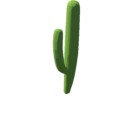 cactus_3