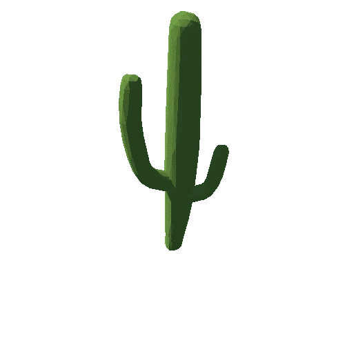 cactus_4