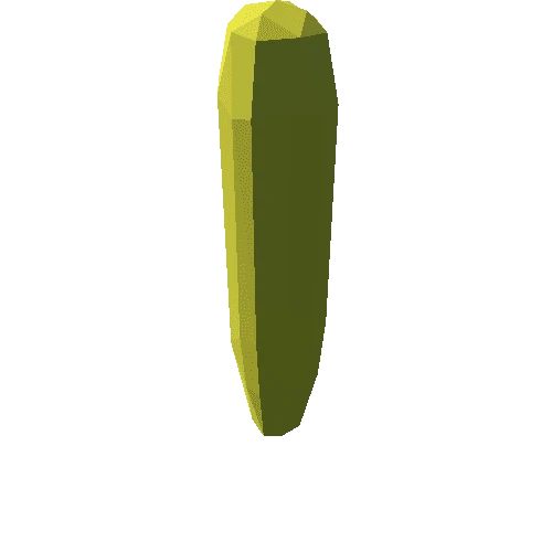 cactus_5