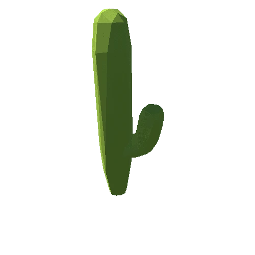 cactus_7