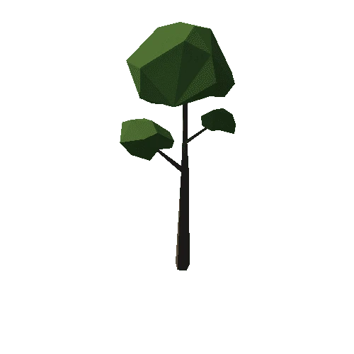 Forest_C_Tree_03