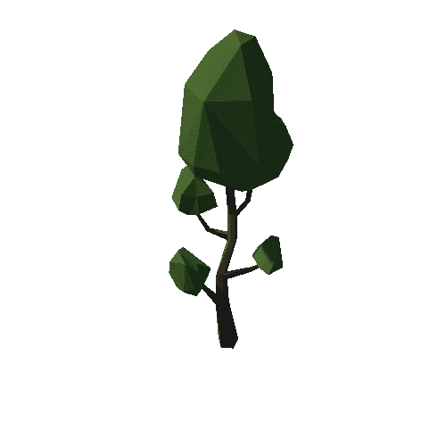 Forest_C_Tree_05