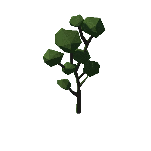Forest_C_Tree_11
