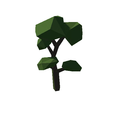 Forest_C_Tree_12