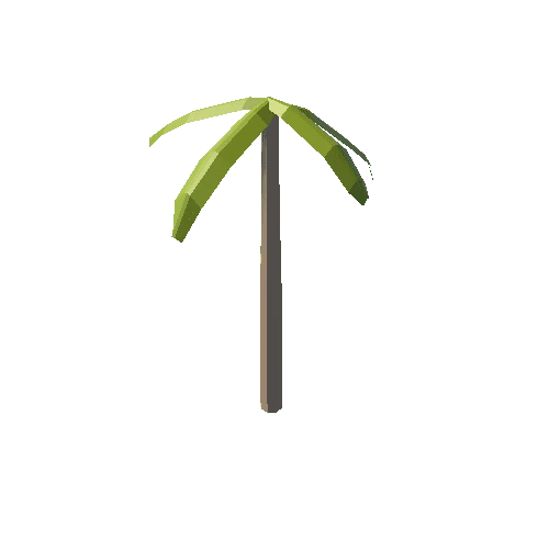 palm_tree_02