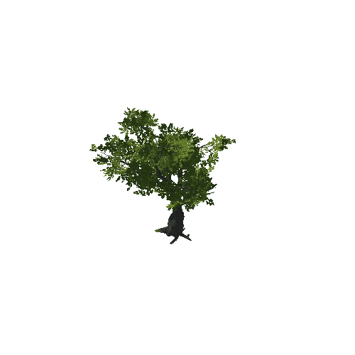 Tree_07