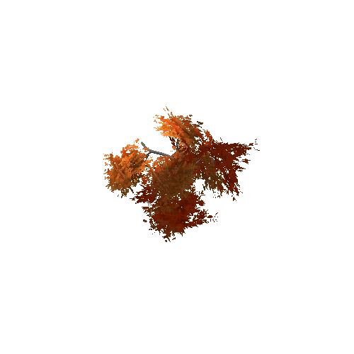 tree_2_orange