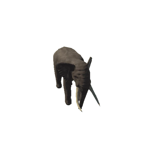 Elephant_LOD_1