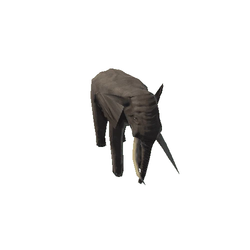 Elephant_LOD_2