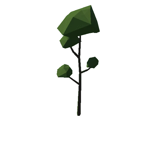 Forest_C_Tree_04