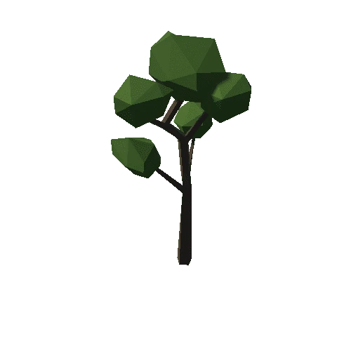 Forest_C_Tree_09