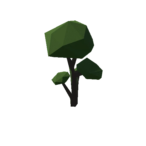 Forest_C_Tree_13