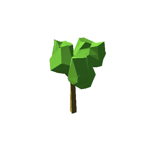 Tree_05