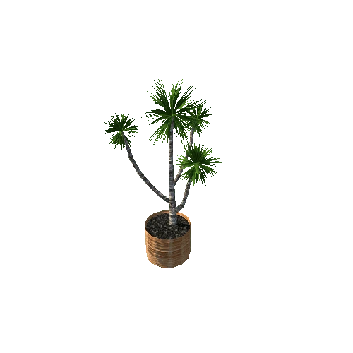 plant13