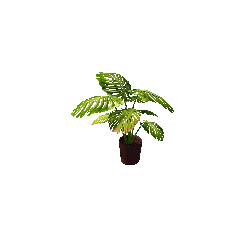 plant2