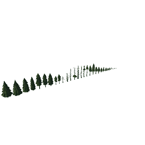 Demo_FirTrees_01