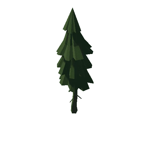 Forest_A_FirTree_18