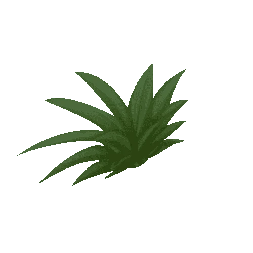 Plant_01a