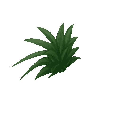 Plant_02a