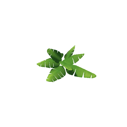 Plant_05a